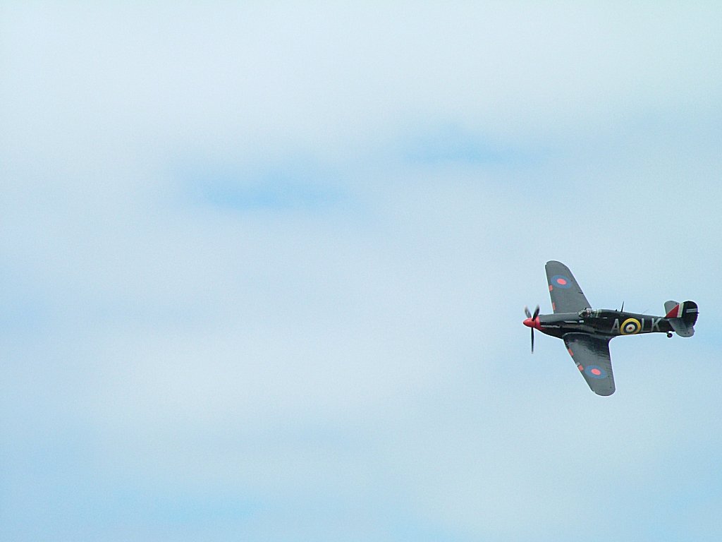 Click now to see this image full size.