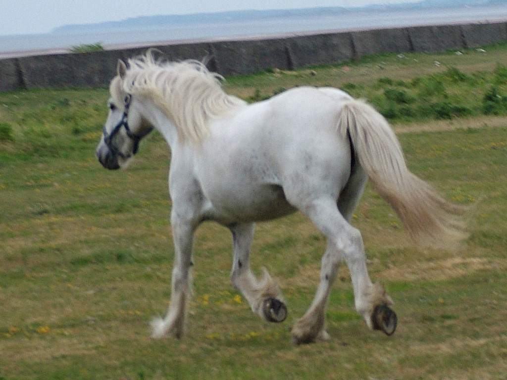 Click now to see this image full size.