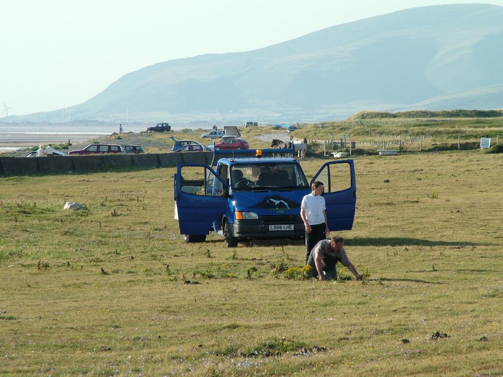 Click now to see this image full size.