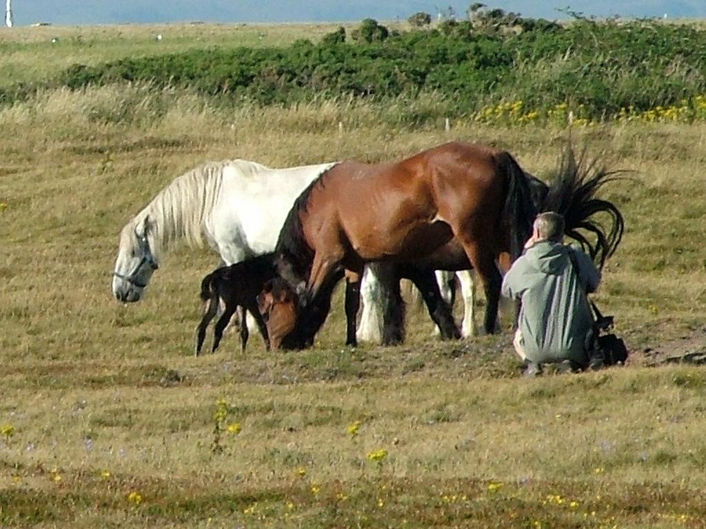 Click now to see this image full size.