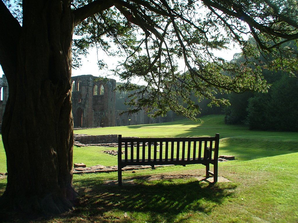 Click now to see this image full size.