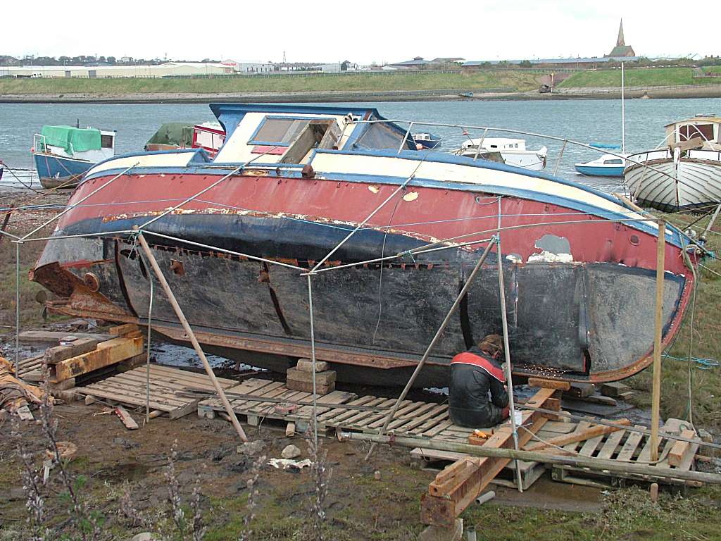 Click now to see this image full size.