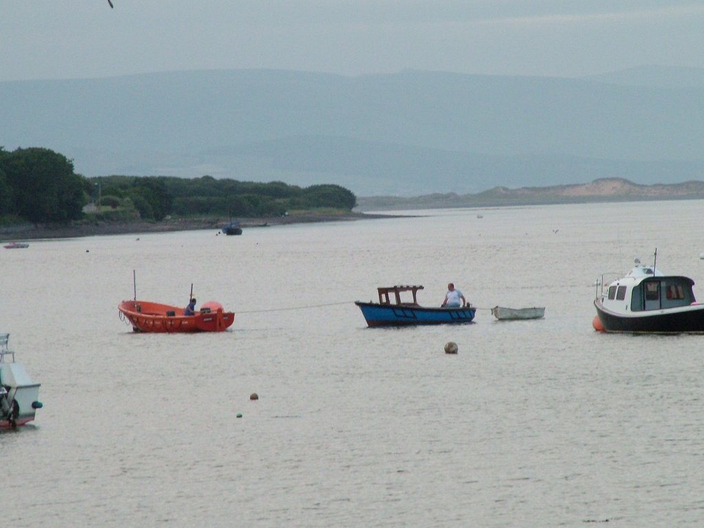 Click now to see this image full size.