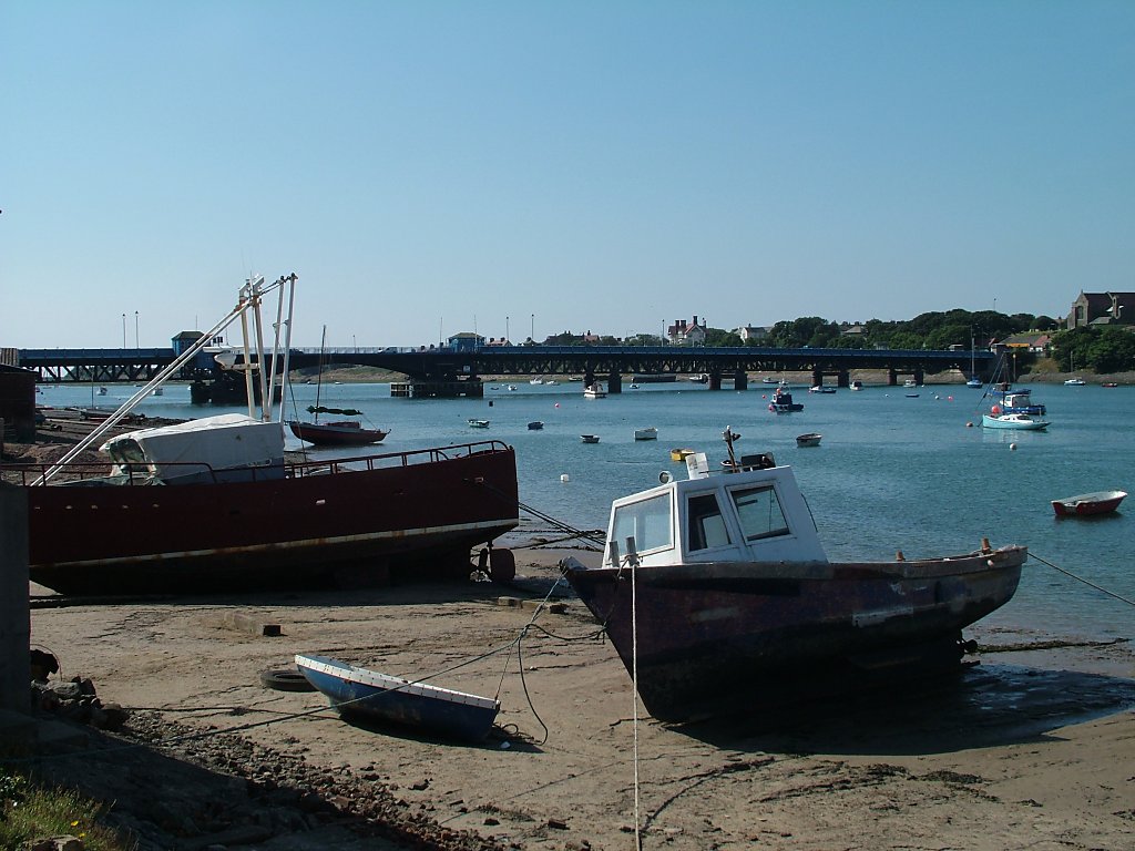 Click now to see this image full size.