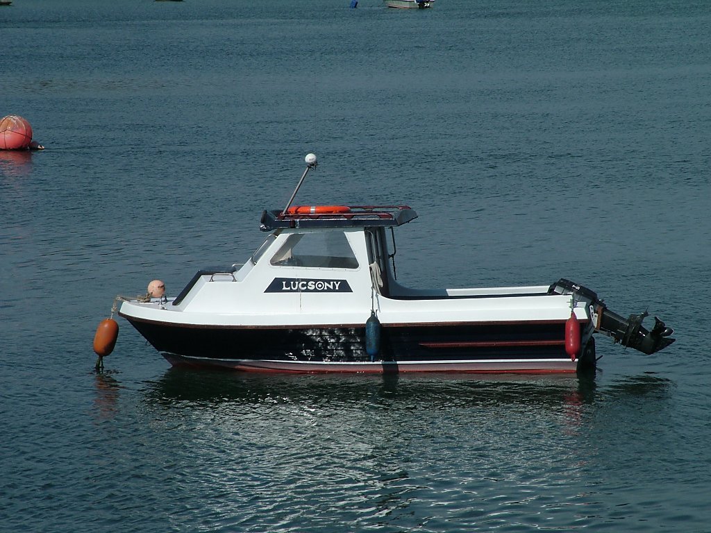 Click now to see this image full size.