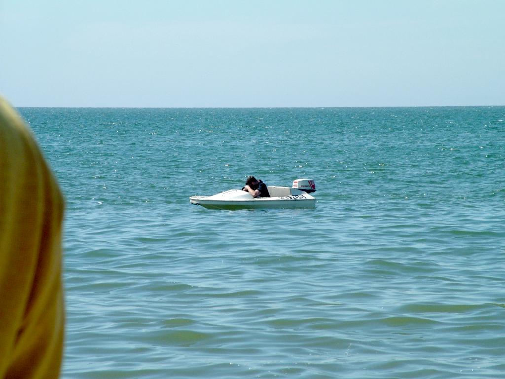 Click now to see this image full size.