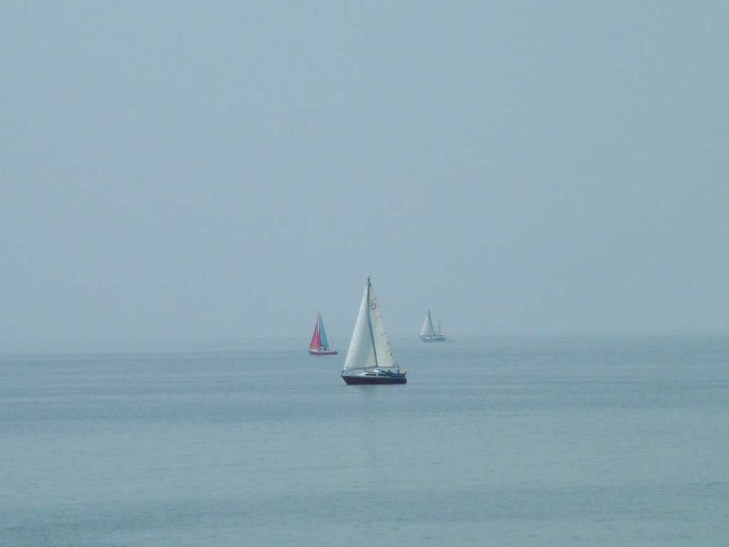 Click now to see this image full size.