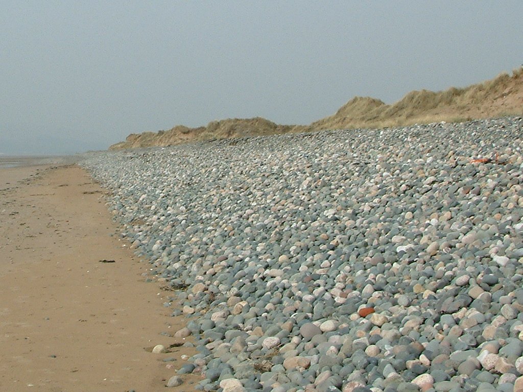 Click now to see this image full size.