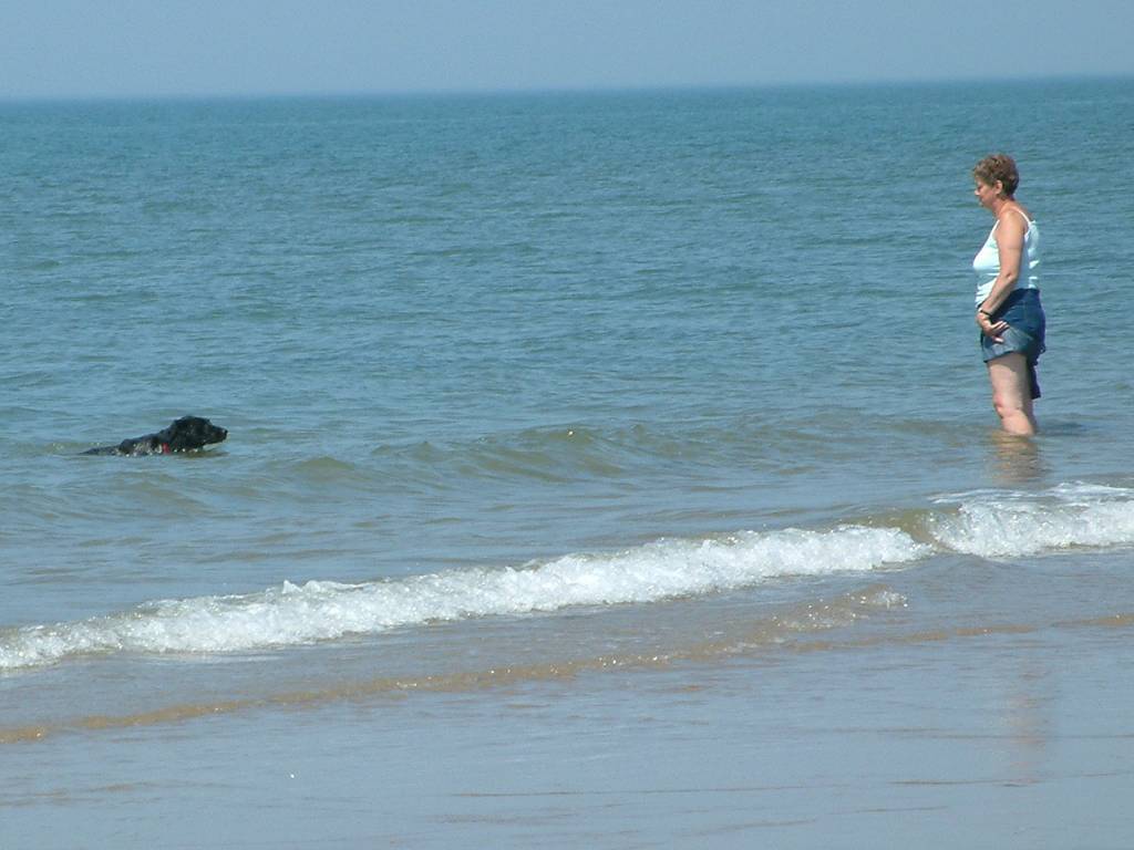 Click now to see this image full size.