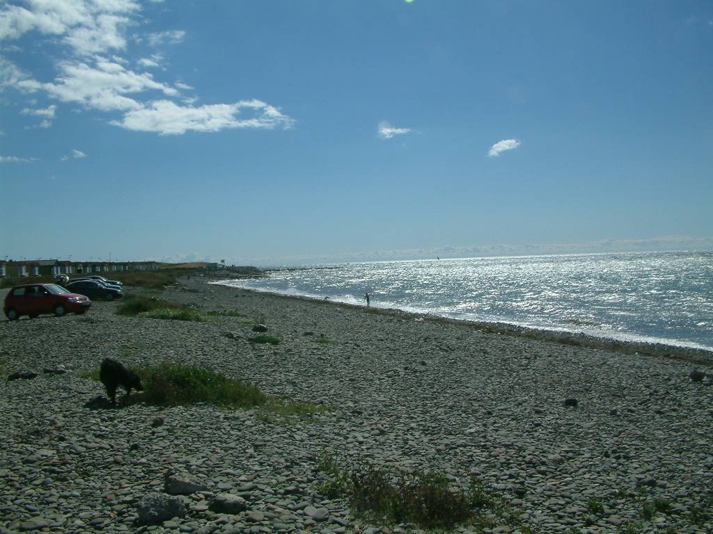 Click now to see this image full size.