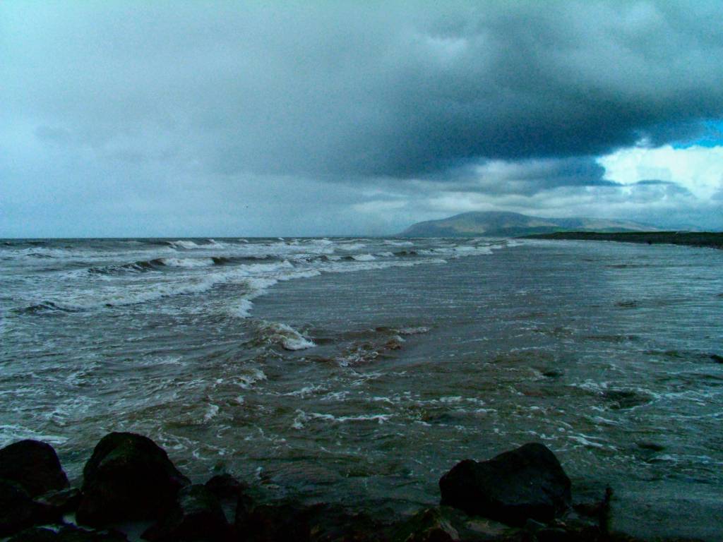 Click now to see this image full size.