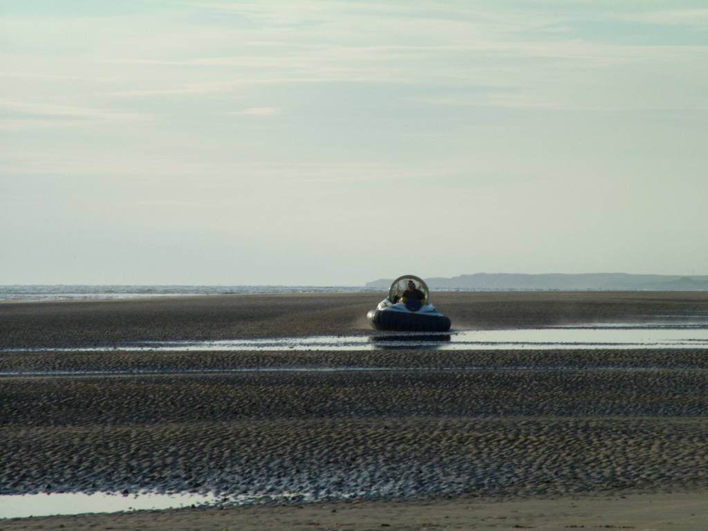 Click now to see this image full size.