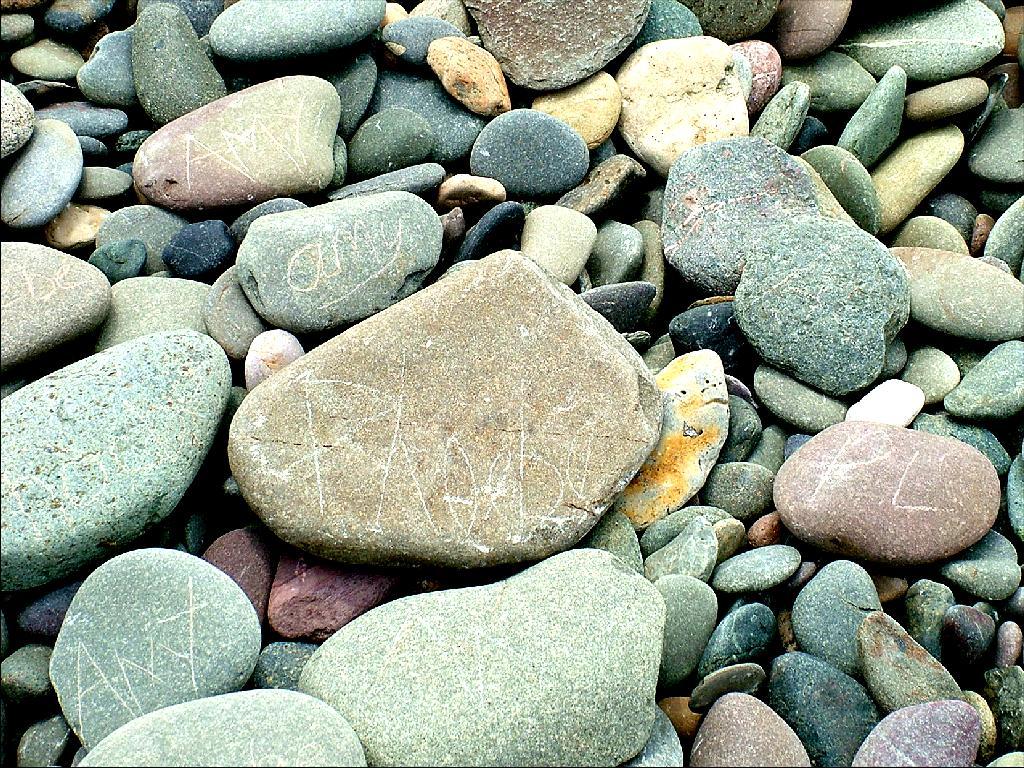 Click now to see this image full size.