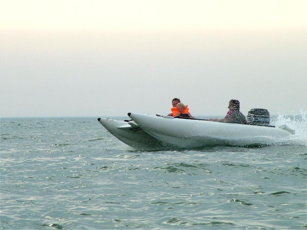 Click now to see this image full size.