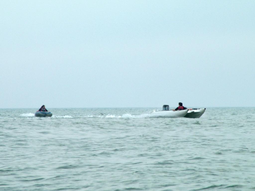 Click now to see this image full size.