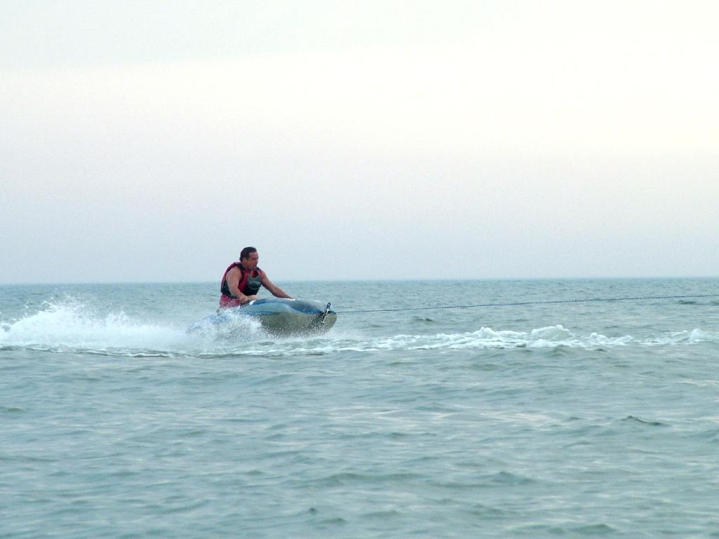 Click now to see this image full size.