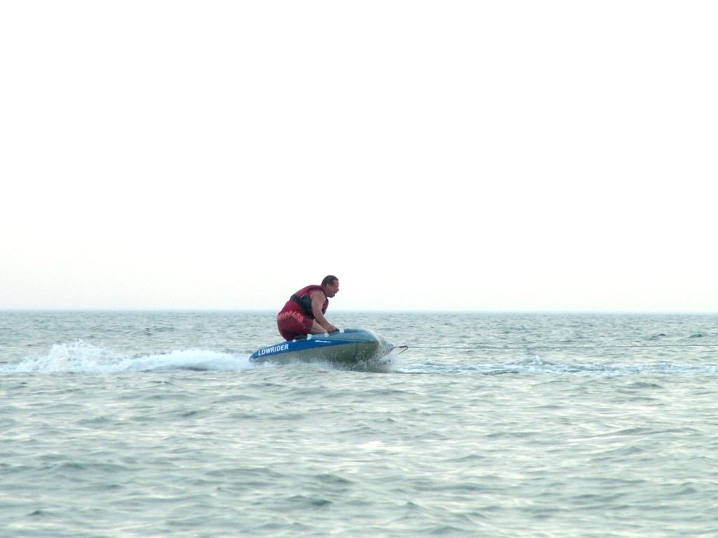 Click now to see this image full size.