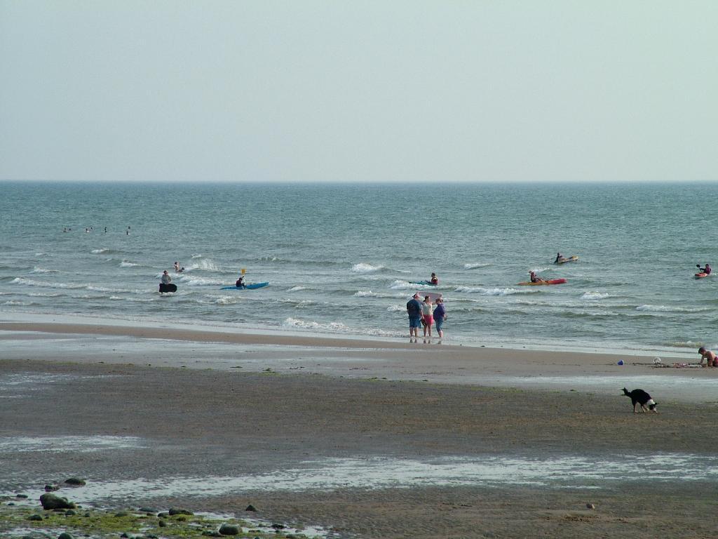 Click now to see this image full size.