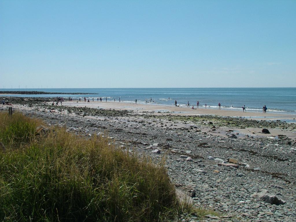 Click now to see this image full size.