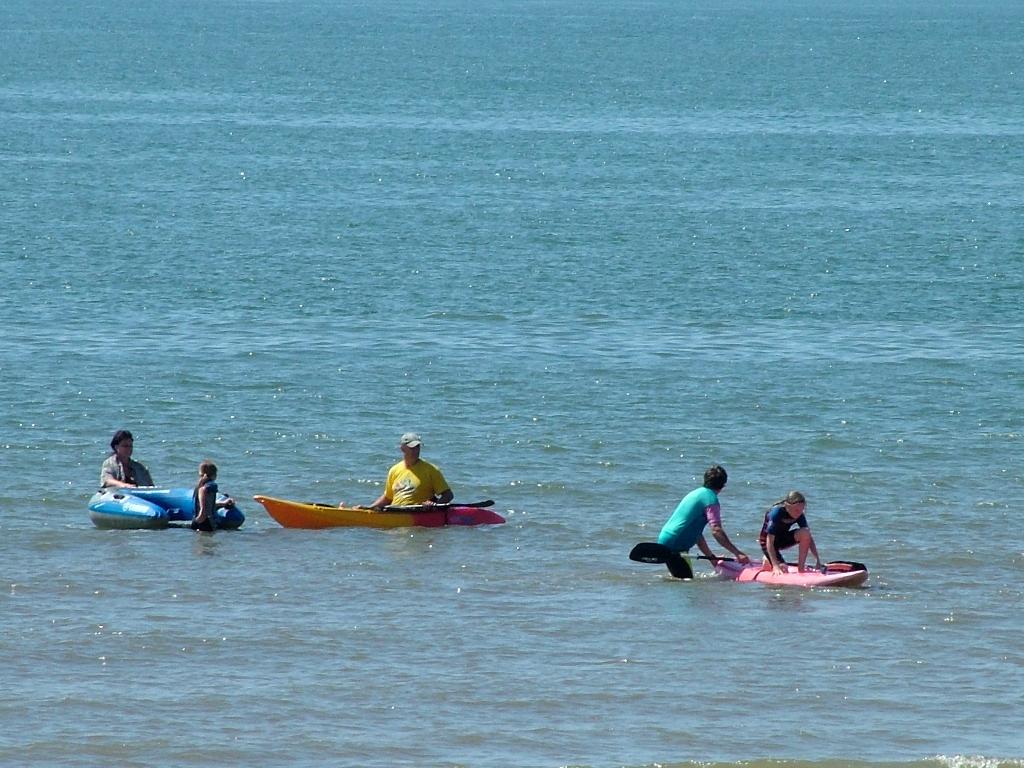 Click now to see this image full size.