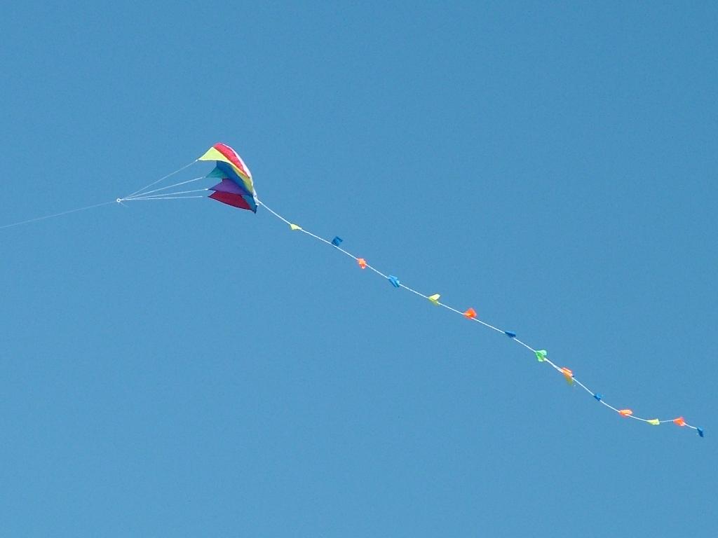 Click now to see this image full size.