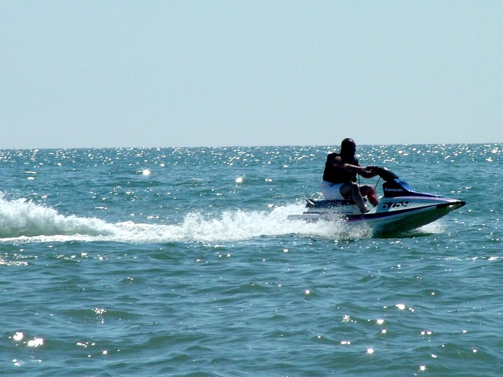 Click now to see this image full size.