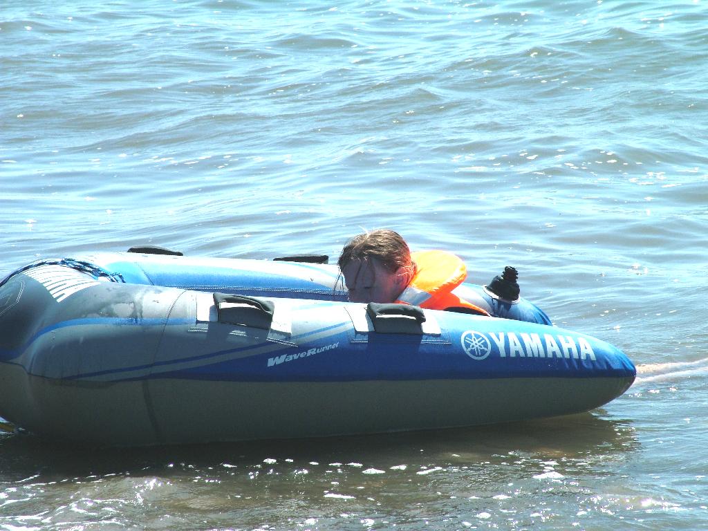 Click now to see this image full size.