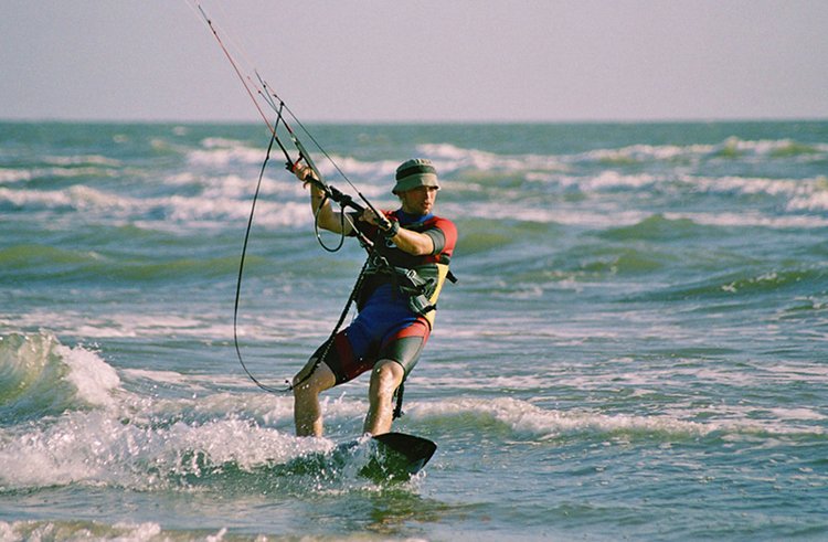 Click now to see this image full size.