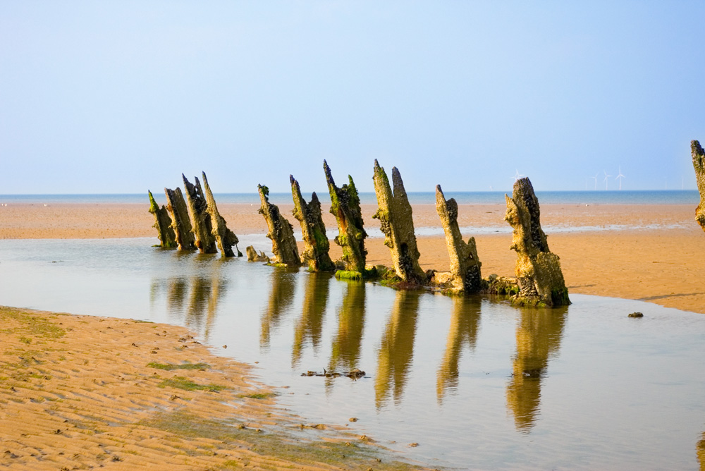 Click now to see this image full size.