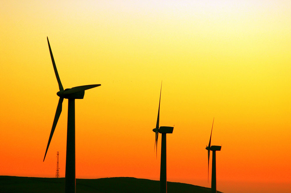 Click now to see this image full size.