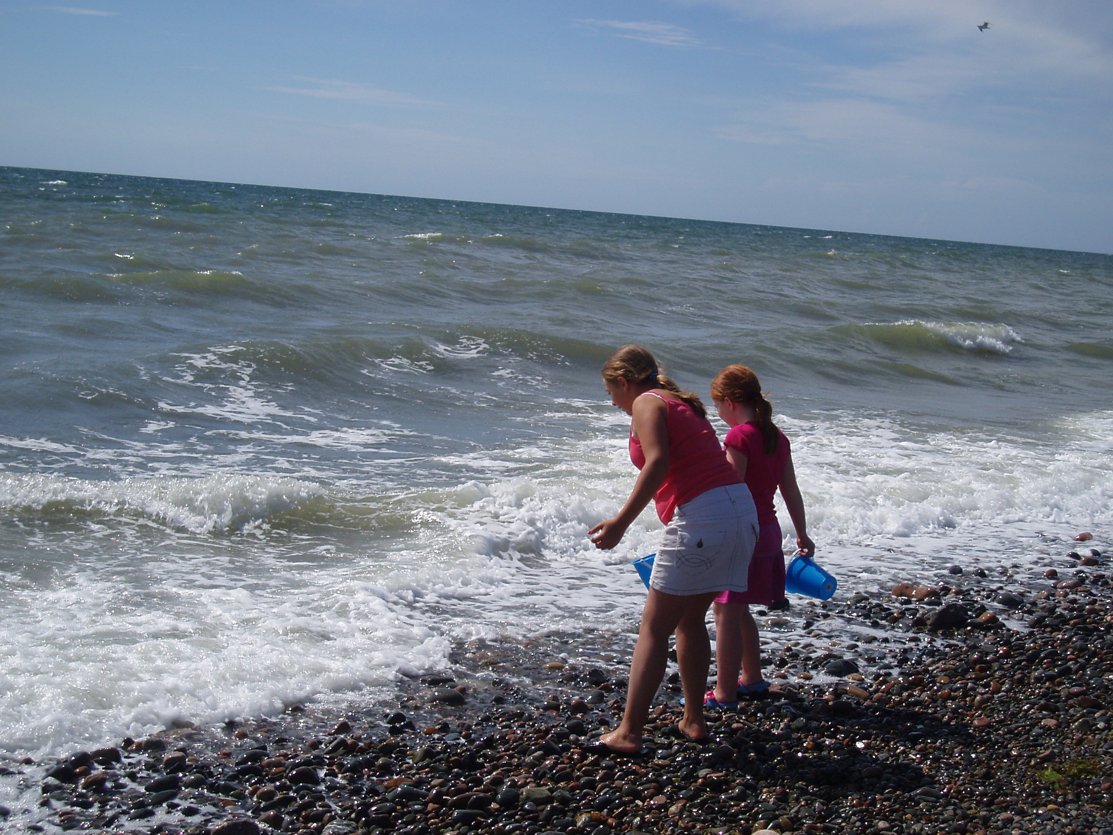 Click now to see this image full size.