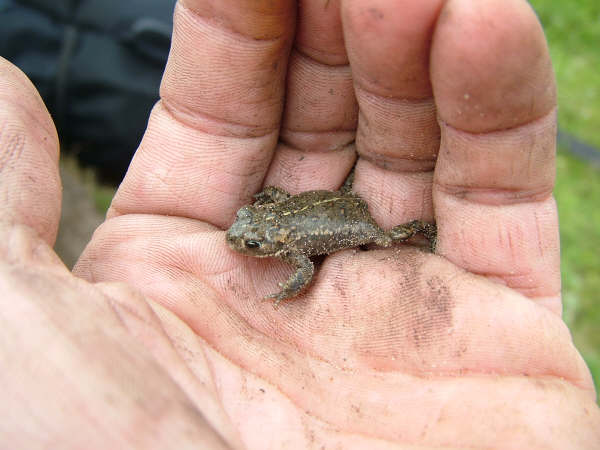 Click now to see this image full size.