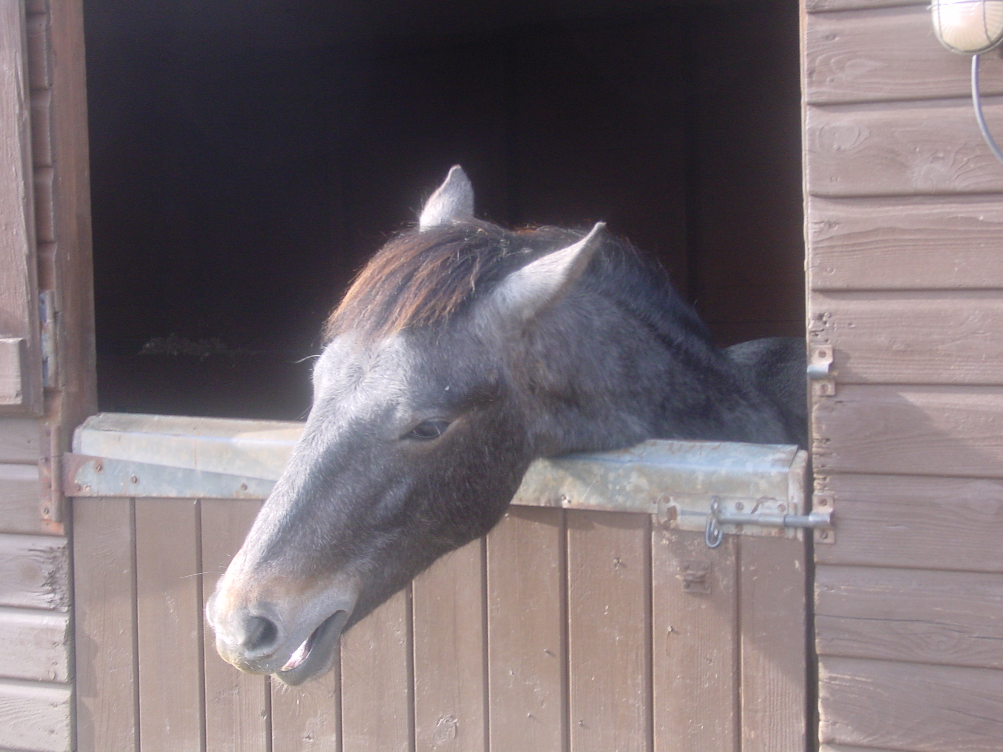 Click now to see this image full size.