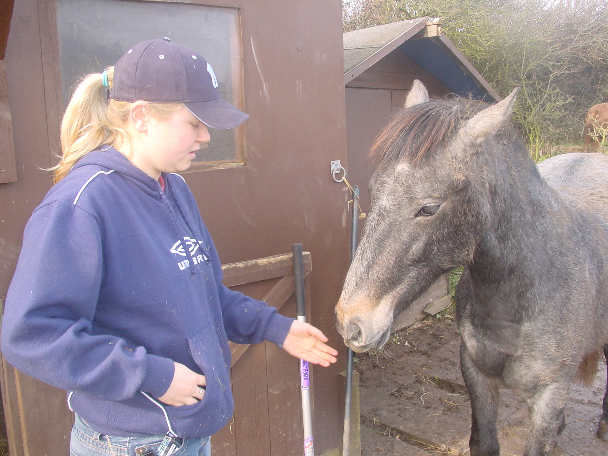 Click now to see this image full size.