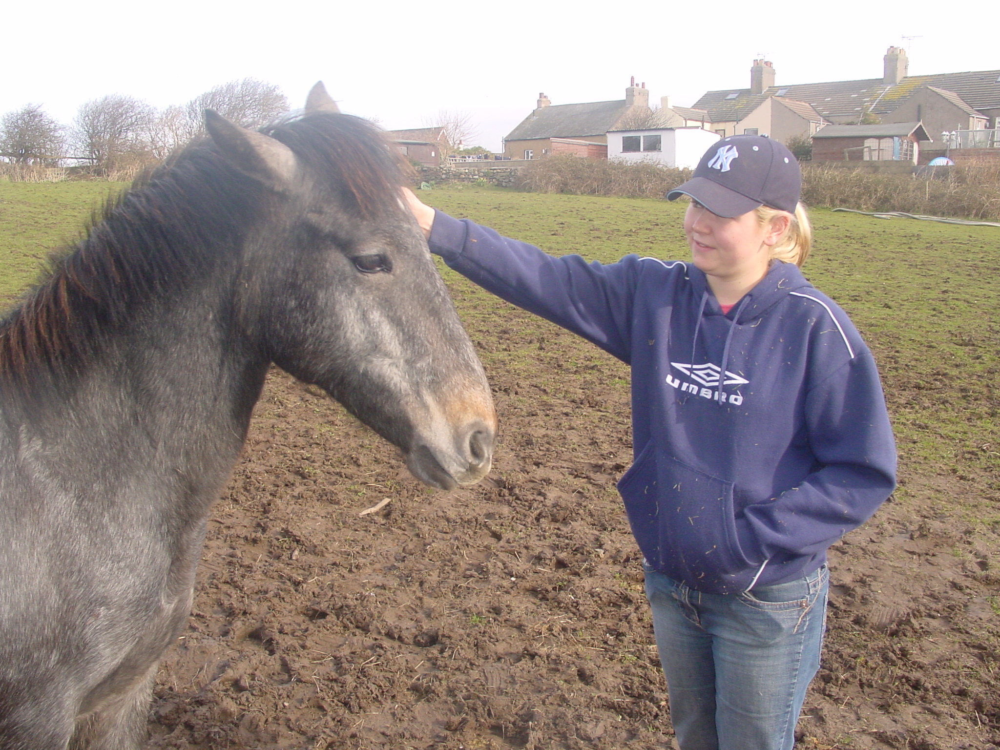 Click now to see this image full size.