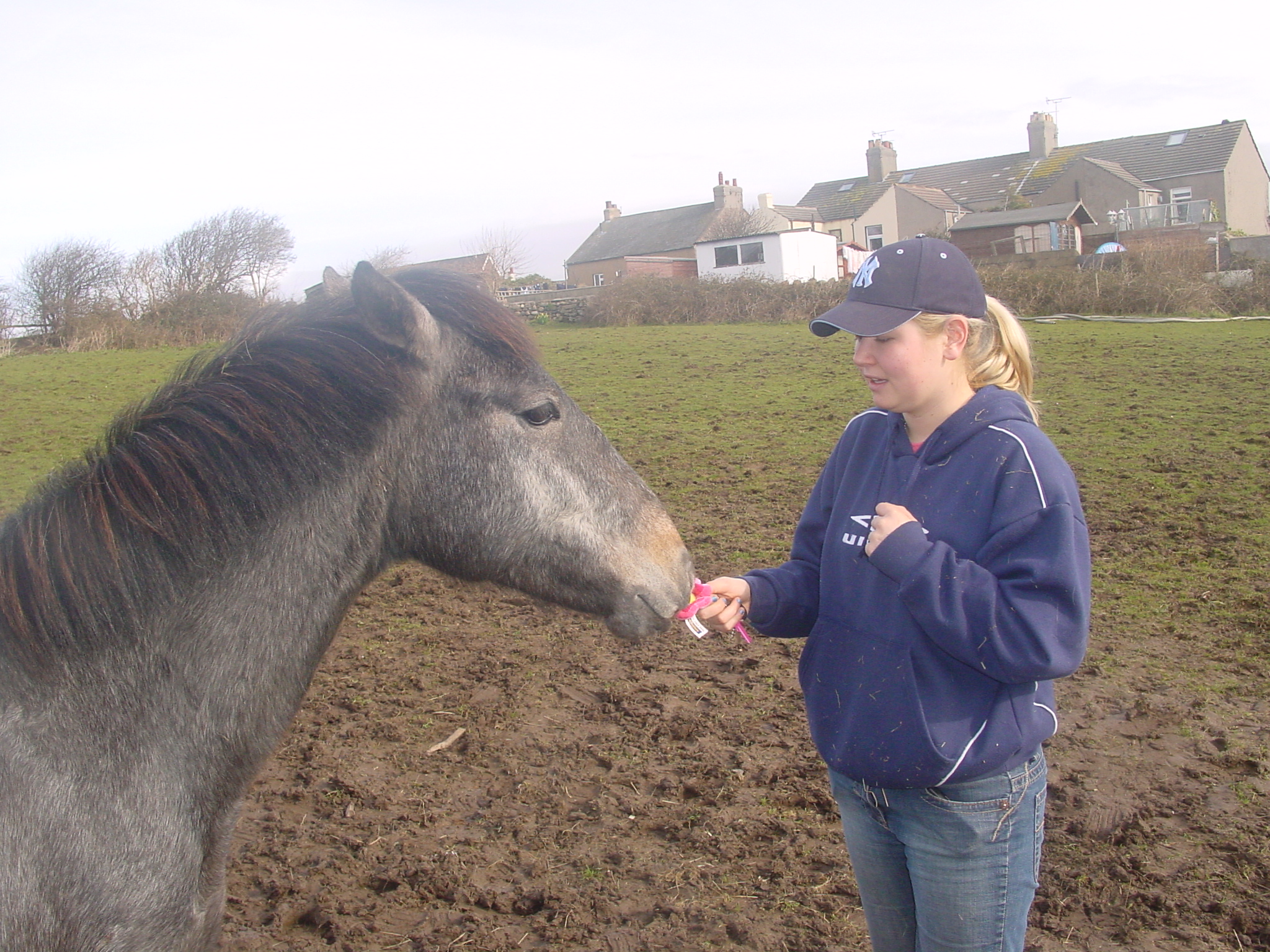 Click now to see this image full size.