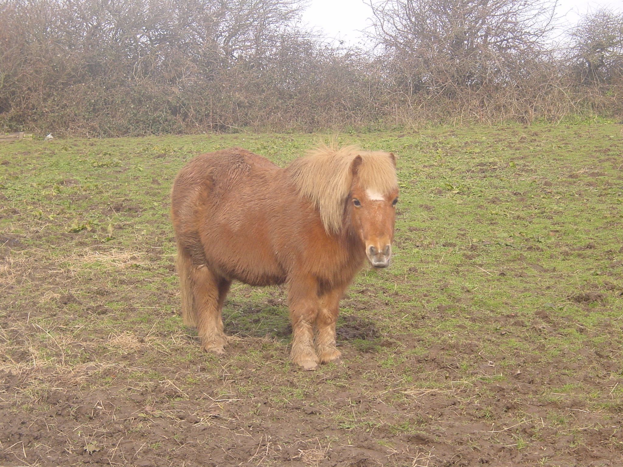 Click now to see this image full size.