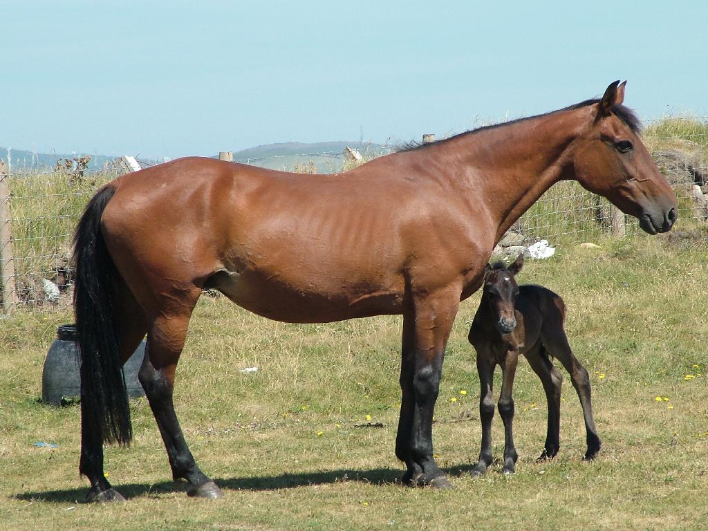 Click now to see this image full size.