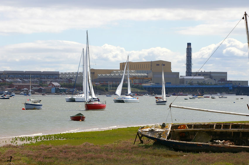 Click now to see this image full size.