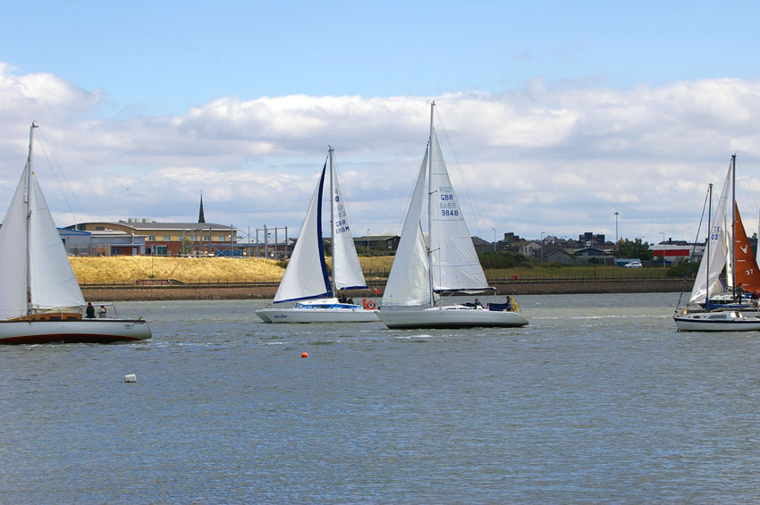 Click now to see this image full size.