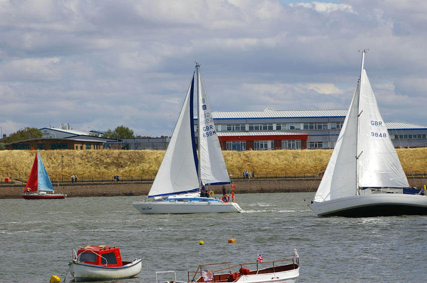 Click now to see this image full size.