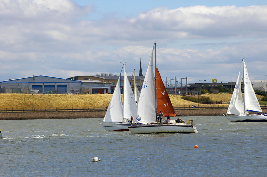 Click now to see this image full size.