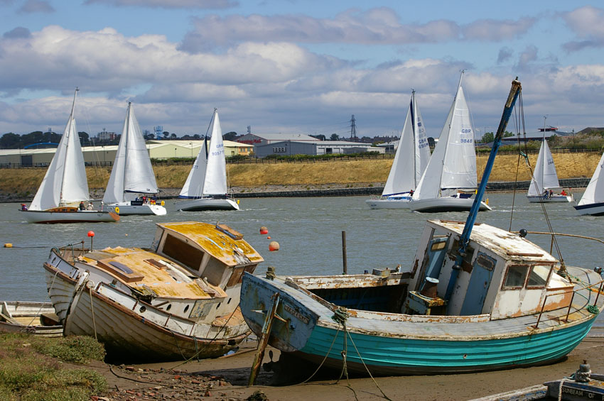 Click now to see this image full size.