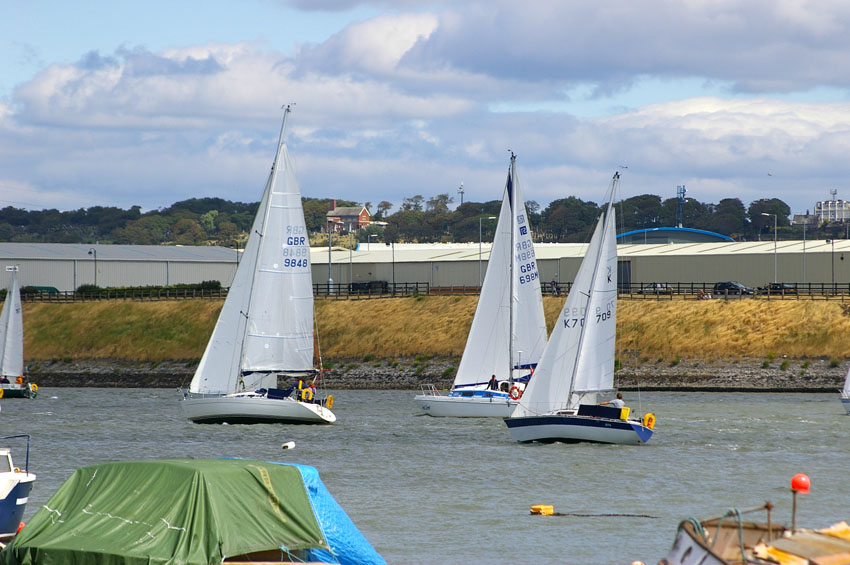 Click now to see this image full size.