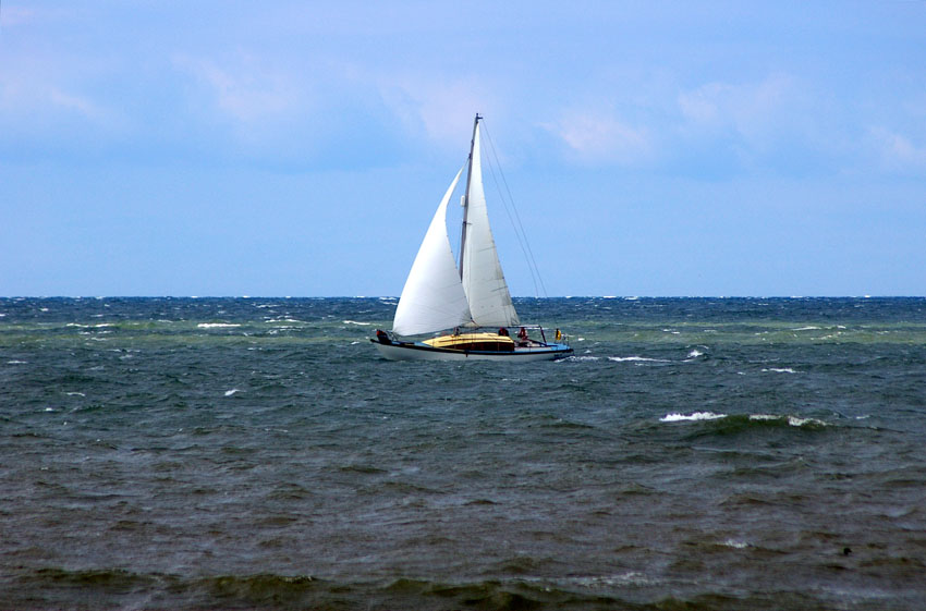 Click now to see this image full size.