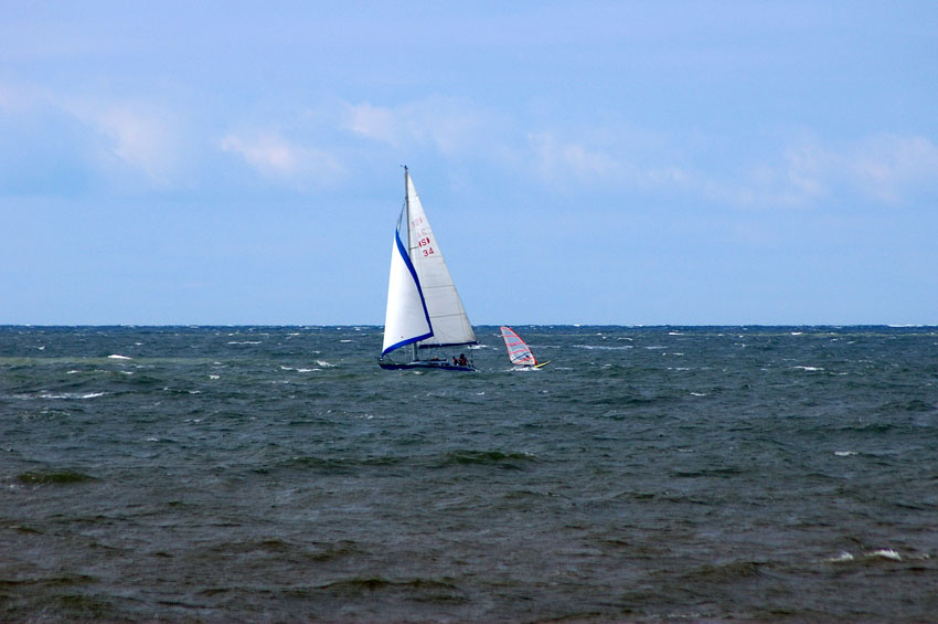 Click now to see this image full size.