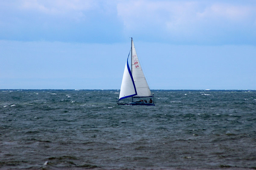 Click now to see this image full size.