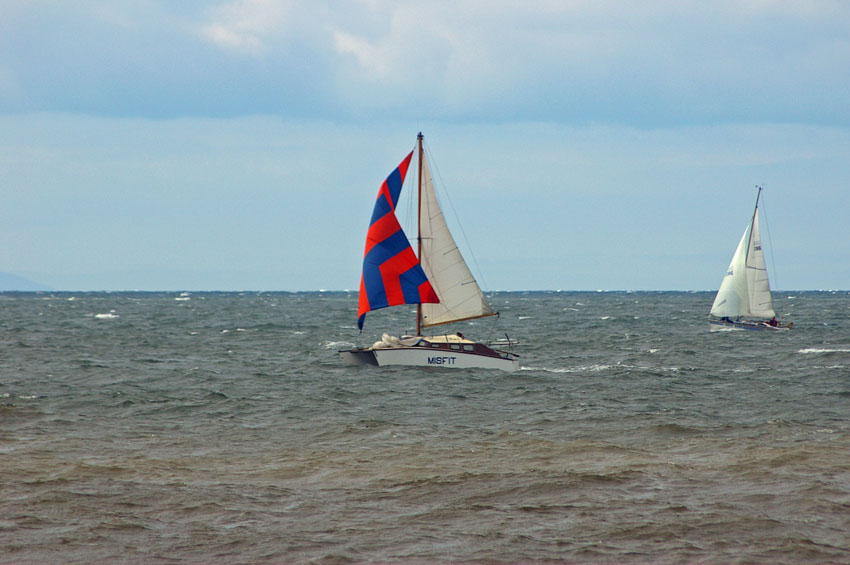 Click now to see this image full size.