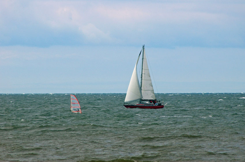 Click now to see this image full size.