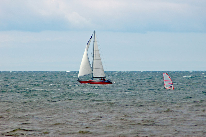 Click now to see this image full size.